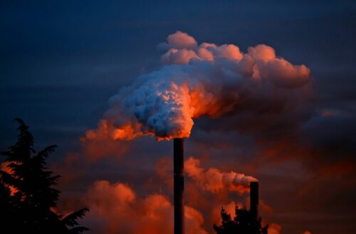 Article : Pollueur payeur: le parfait jeu de dupes des résolutions climatiques